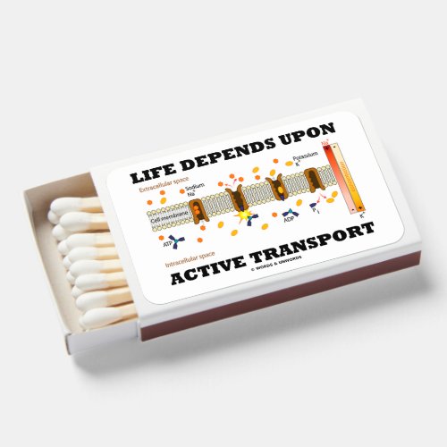 Life Depends Upon Active Transport Na_K Pump Matchboxes