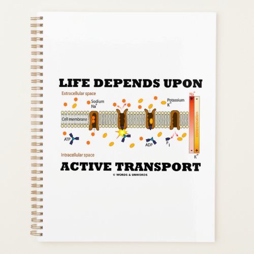 Life Depends Upon Active Transport Na_K Pump Planner