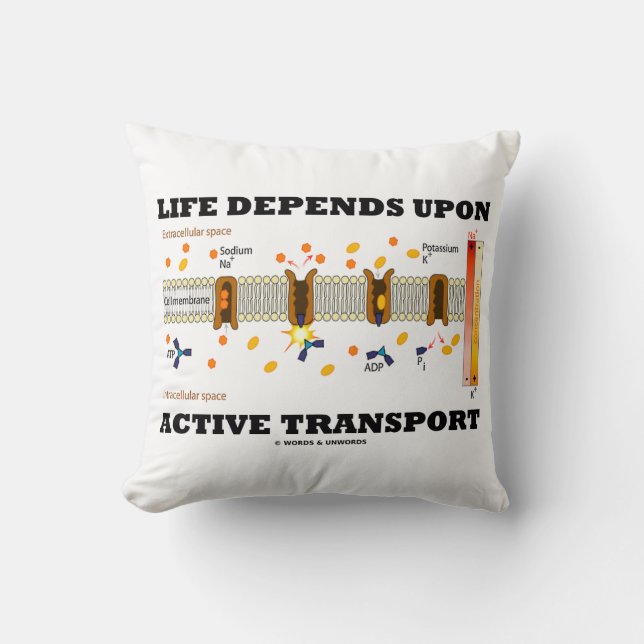 Life Depends Upon Active Transport Na-K Pump Throw Pillow (Front)