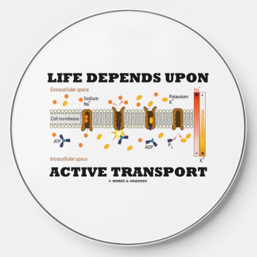 Life Depends Upon Active Transport Na_K Pump Wireless Charger