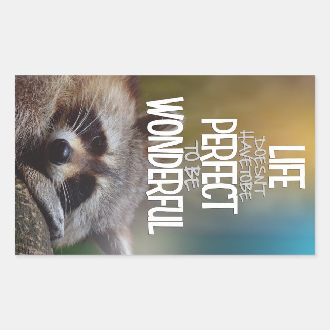 LIfe DoesntHave ToBe Perfect Raccoon Inspirational Rectangular Sticker (Front)