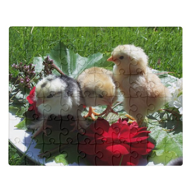 life funny litle birds postcard jigsaw puzzle (Puzzle Horizontal)