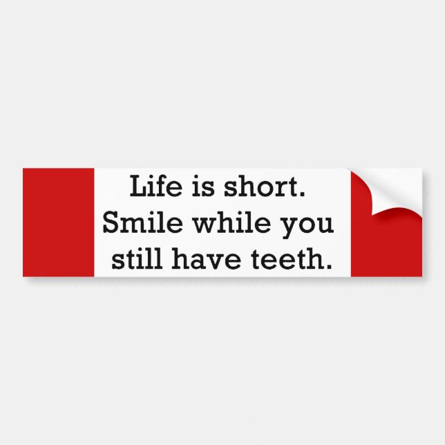 LIFE FUNNY SAYINGS SHORT SMILE WHILE YOU STILL BUMPER STICKER (Front)
