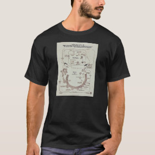 Life History Of The Malaria Parasite Plasmodiume V T-Shirt