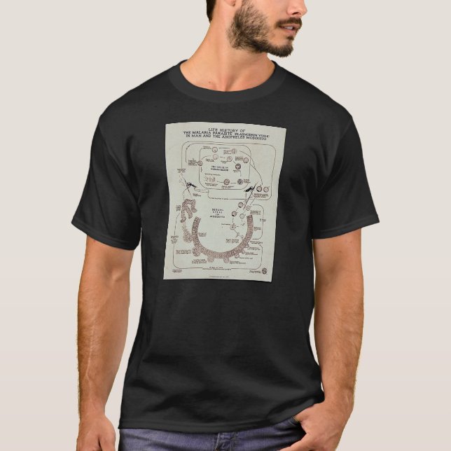 Life History Of The Malaria Parasite Plasmodiume V T-Shirt (Front)