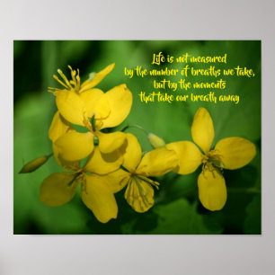 Life Inspirational Quote Wildflowers Poster