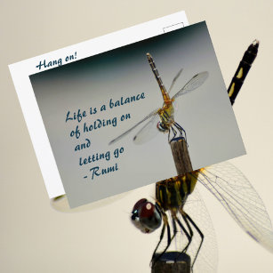 Life is a Balance Quote Dragonfly Photographic Postcard