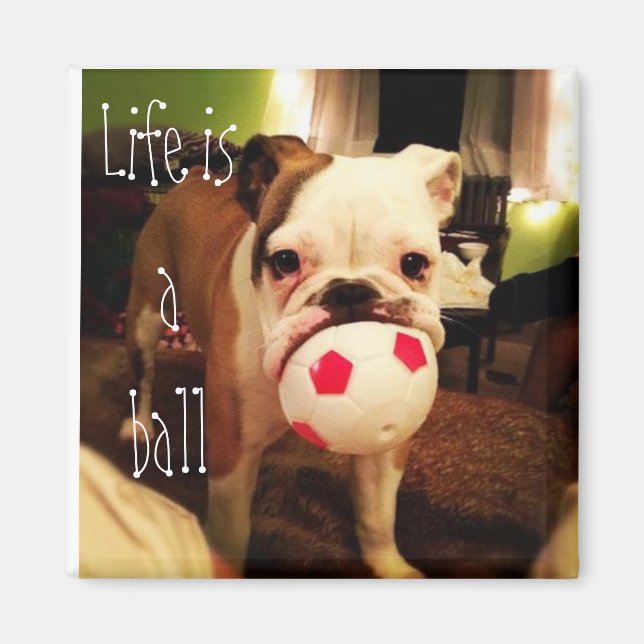 Life is a ball ! magnet (Front)