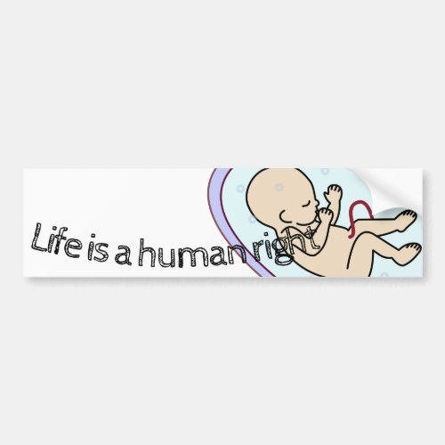 Life is a human right pro_life bumper sticker