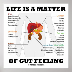 Life Is A Matter Of Gut Feeling Anatomical Humor Poster