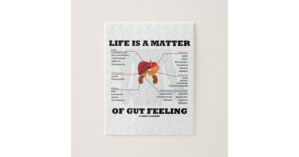 Life Is A Matter Of Gut Feeling (Endocrine System) Jigsaw Puzzle