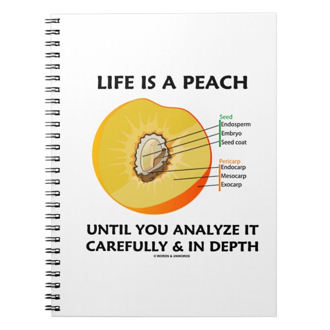 Life Is A Peach Until You Analyze Carefully Depth Notebook (Front)