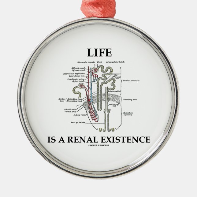 Life Is A Renal Existence (Kidney Nephron) Metal Ornament (Front)
