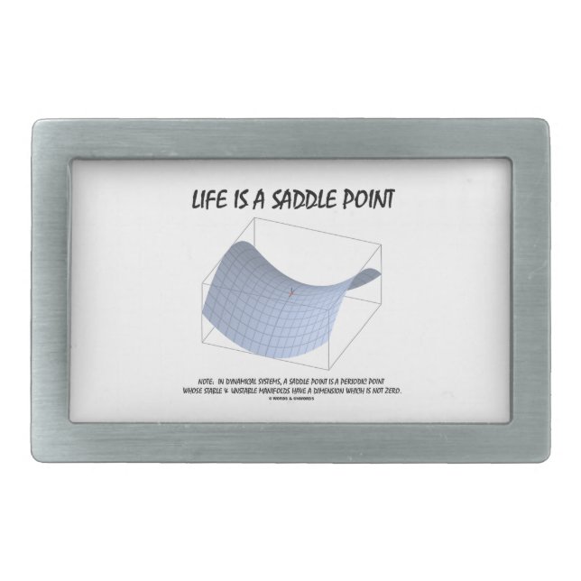 Life Is A Saddle Point (Math and Geometry) Belt Buckle (Front)