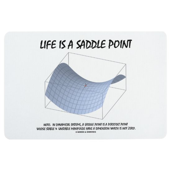 Life Is A Saddle Point Math & Geometry Humor Floor Mat