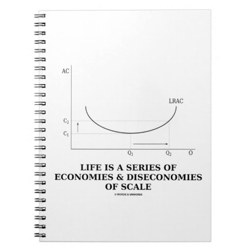 Life Is A Series Of Economies  Diseconomies Scale Notebook