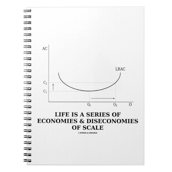 Life Is A Series Of Economies & Diseconomies Scale Notebook