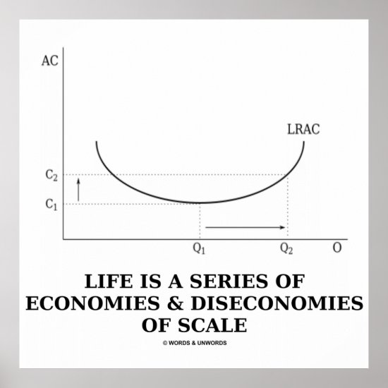 Life Is A Series Of Economies & Diseconomies Scale Poster