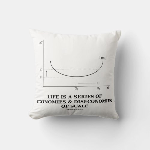 Life Is A Series Of Economies  Diseconomies Scale Throw Pillow