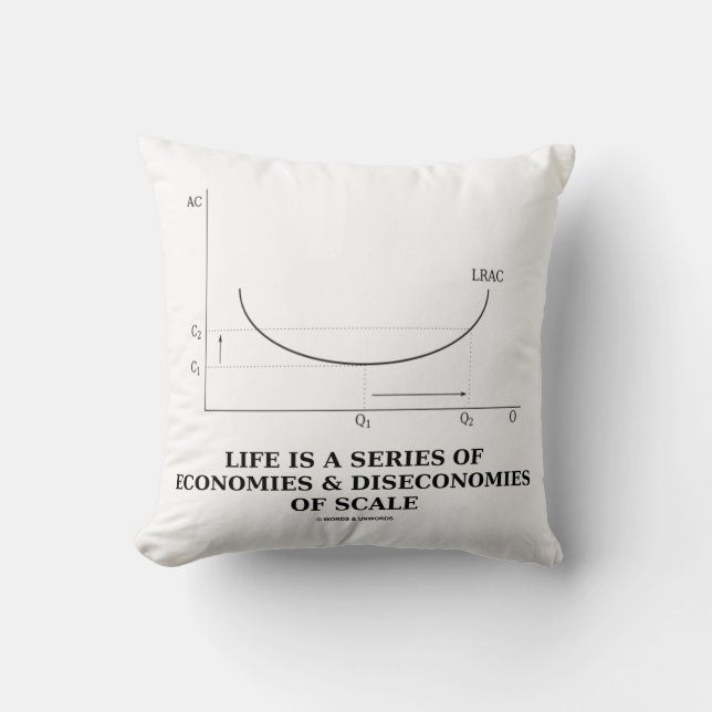 Life Is A Series Of Economies & Diseconomies Scale Throw Pillow (Front)