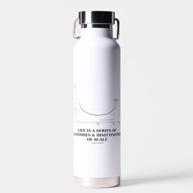Life Is A Series Of Economies & Diseconomies Scale Water Bottle (Front)