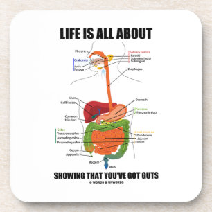 Life Is All About Showing That You've Got Guts Beverage Coaster