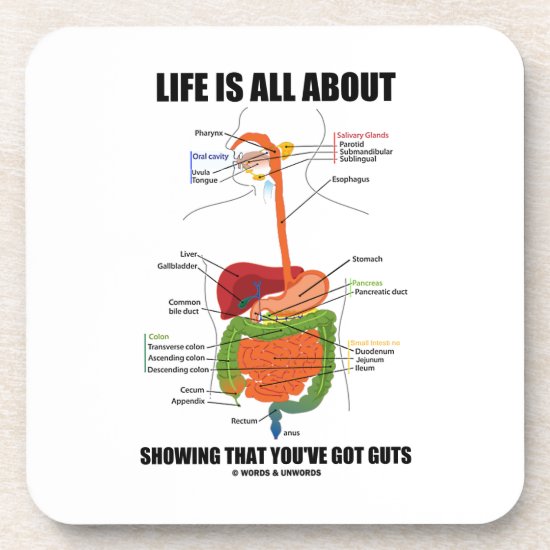 Life Is All About Showing That You've Got Guts Beverage Coaster