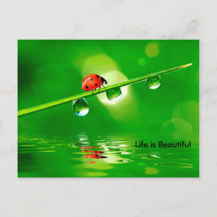 Life is Beautiful Motivation Postcard