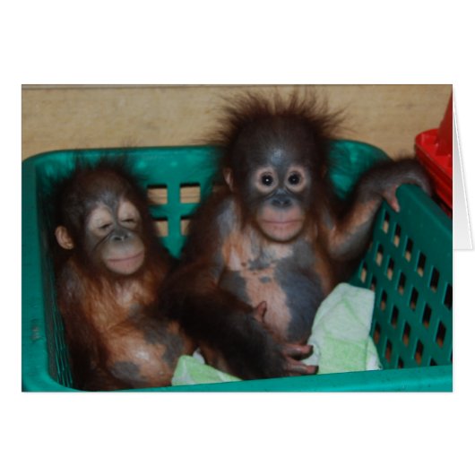 Life is Best When Shared (Front Horizontal)