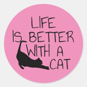 Life Is Better With A Cat Classic Round Sticker