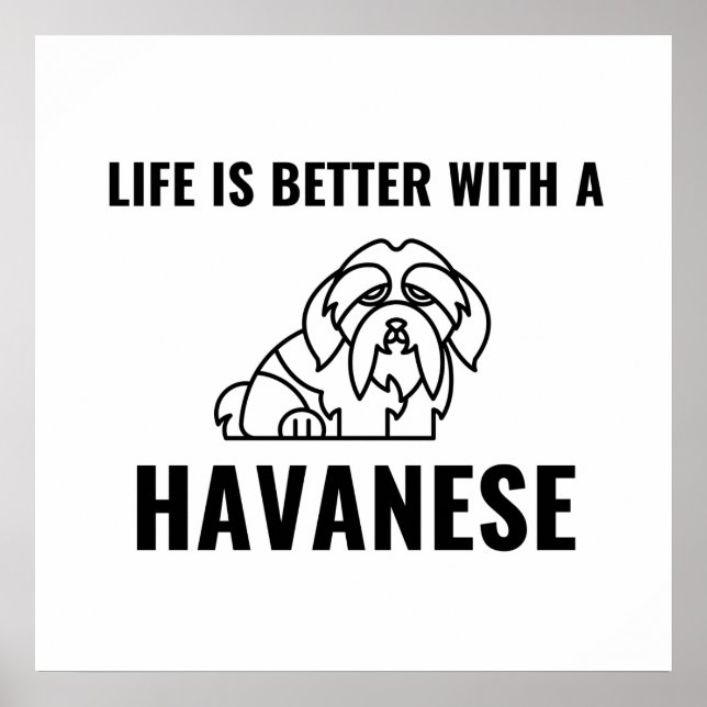 Life is better with a havanese poster (Front)