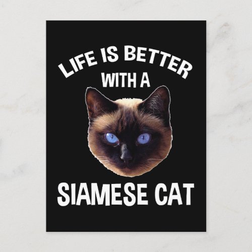 Life Is Better With A Siamese Cat Postcard
