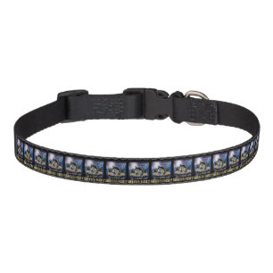 Life Is Better With A Siberian Husky  Pet Collar