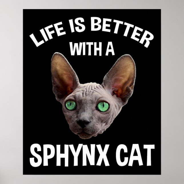 Life Is Better With A Sphynx Cat Poster (Front)