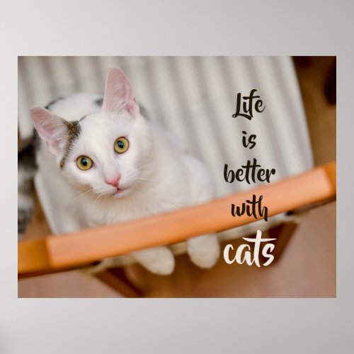 Life is better with cats Cute Cat Photo Poster