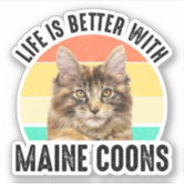 Cat Paw Shaped Magnets: I LOVE MY FAT CAT | MAINE COON | Cars, Refrigerators