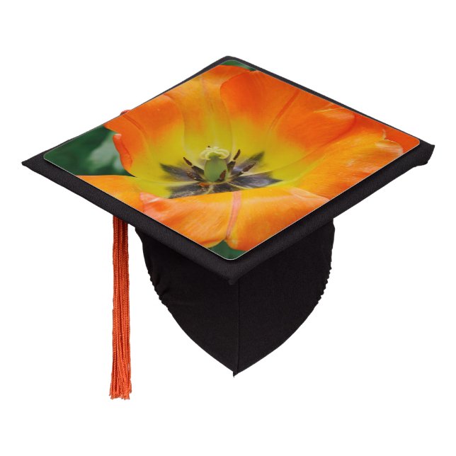 Life is Bright  Graduation Cap Topper (Angled)