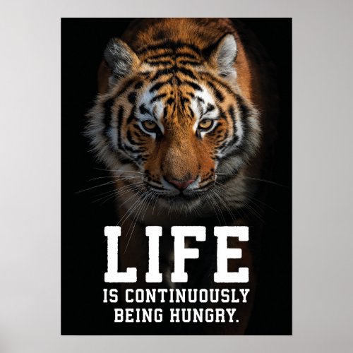 Life is continuously being hungry _ Tiger Success Poster