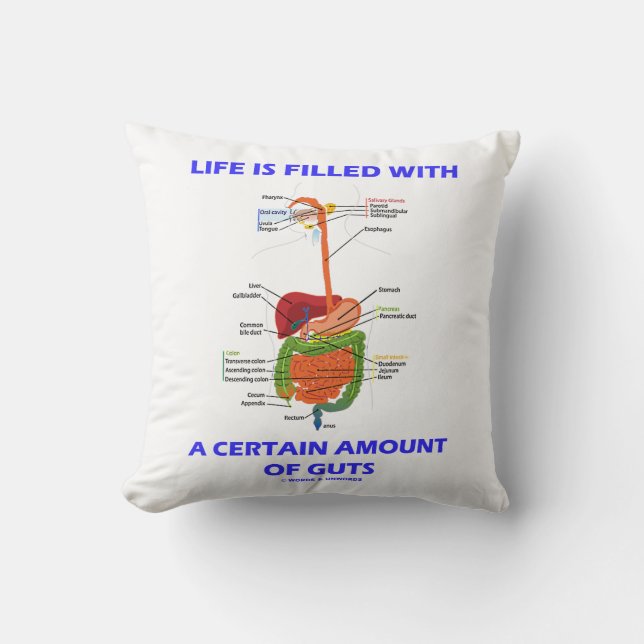 Life Is Filled With A Certain Amount Of Guts Throw Pillow (Front)