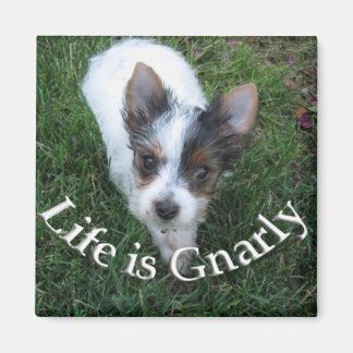 Life is Gnarly Magnet