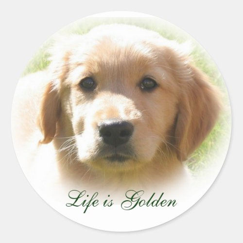 Life is Golden Dog Pet Classic Round Sticker