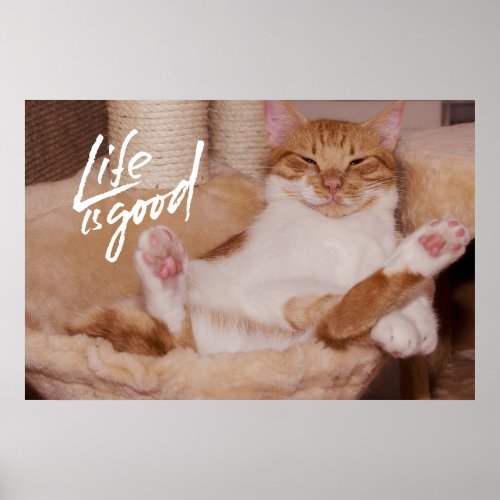 Life is Good Cute Funny Orange Cat   Poster