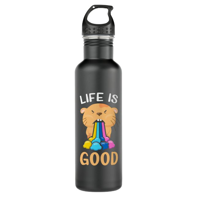 Life Is Good Stainless Steel Water Bottle (Front)