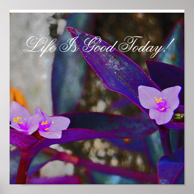 Life Is Good Today! Poster (Front)