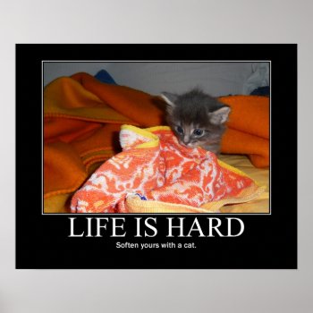 Life Is Hard Cat Artwork Kitten Poster by artisticcats at Zazzle