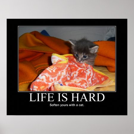 Life Is Hard Cat Artwork Kitten Poster