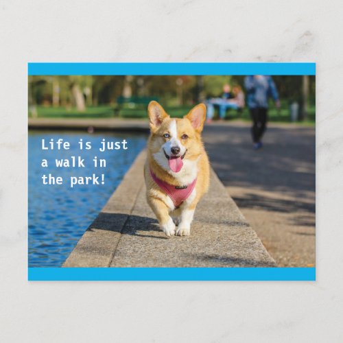 Life is just a walk in the park dog postcard