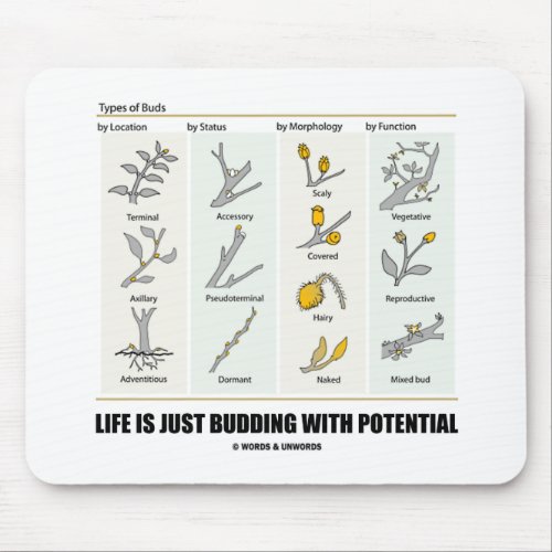 Life Is Just Budding With Potential Bud Types Mouse Pad