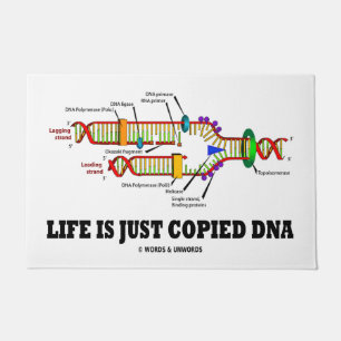 Life Is Just Copied DNA Molecular Biology Humor Doormat