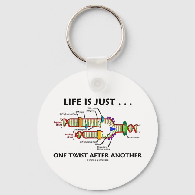 Life Is Just ... One Twist After Another (DNA) Keychain (Front)